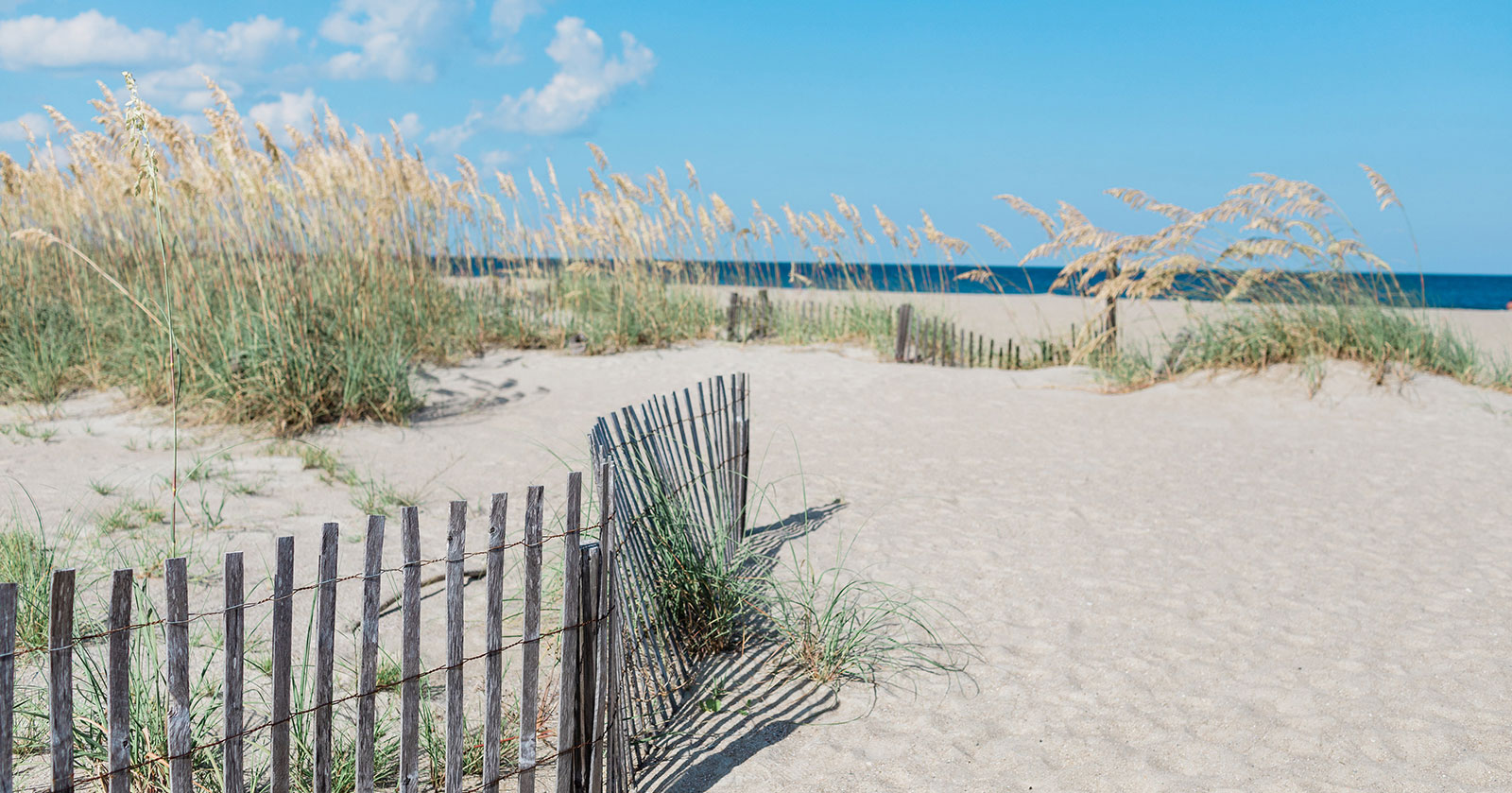 Beach Sand