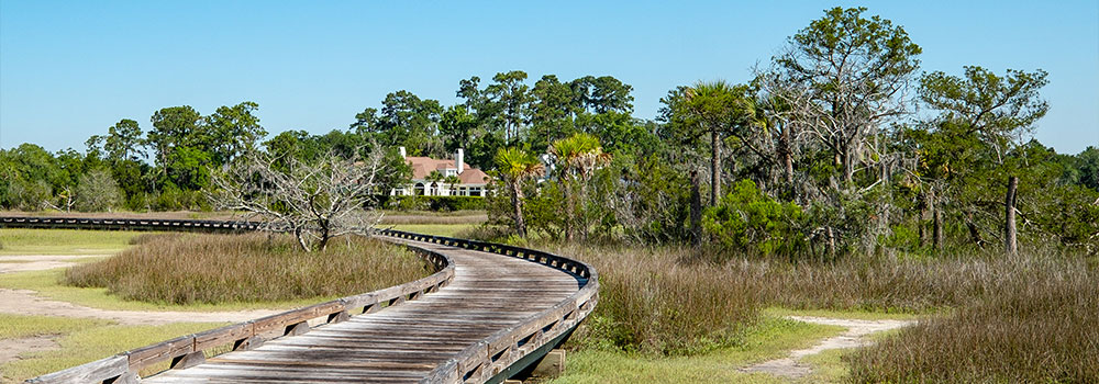 train tracks