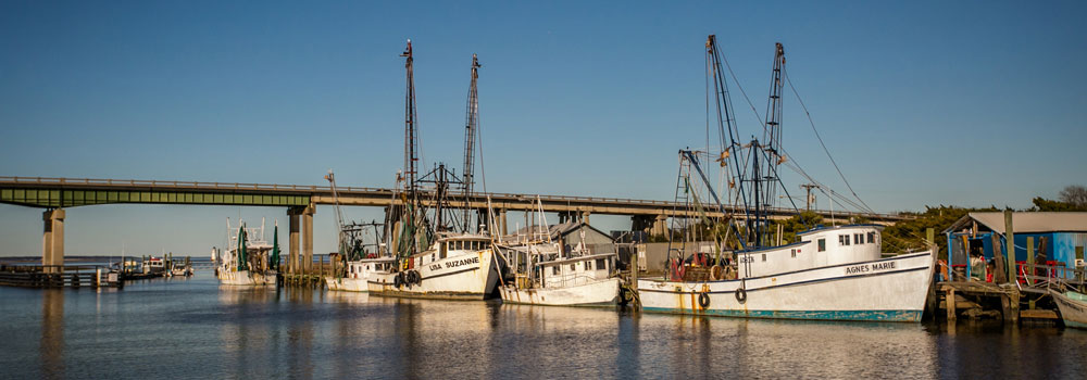 Boats in tybee island