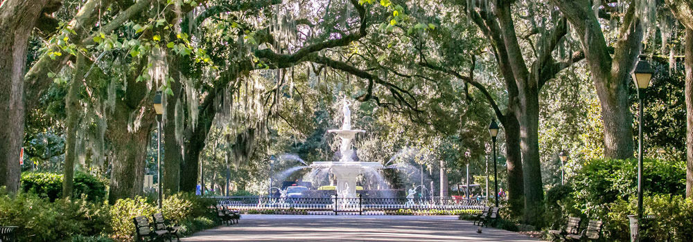 Forest fountain