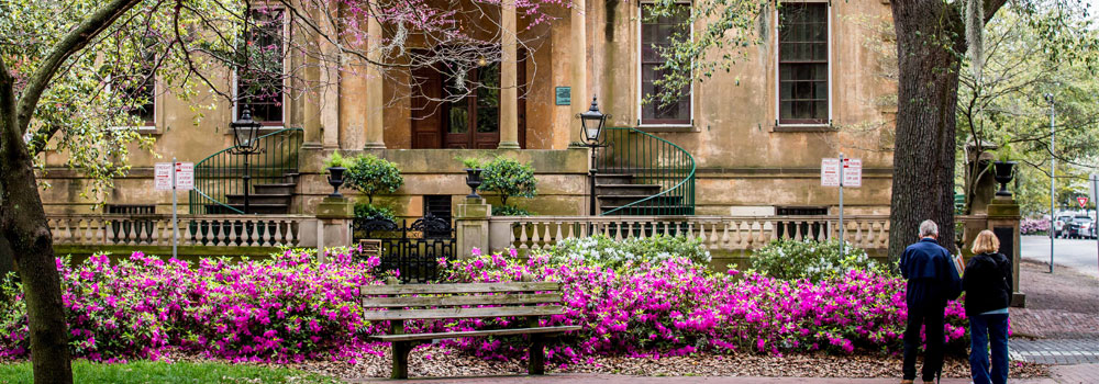 Front yard garden